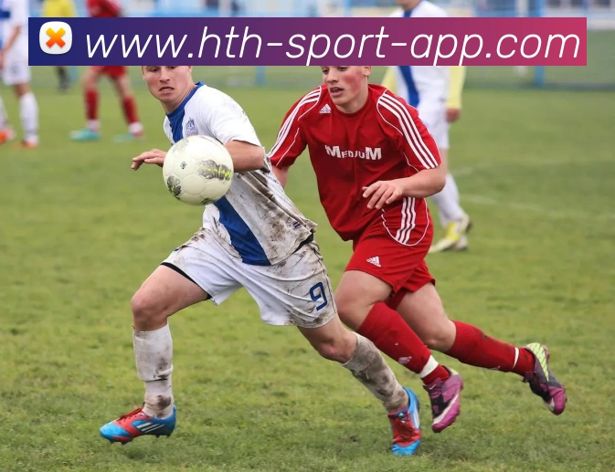 华体会体育APP 封面图